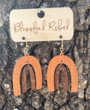 Wooden Rainbow Earrings